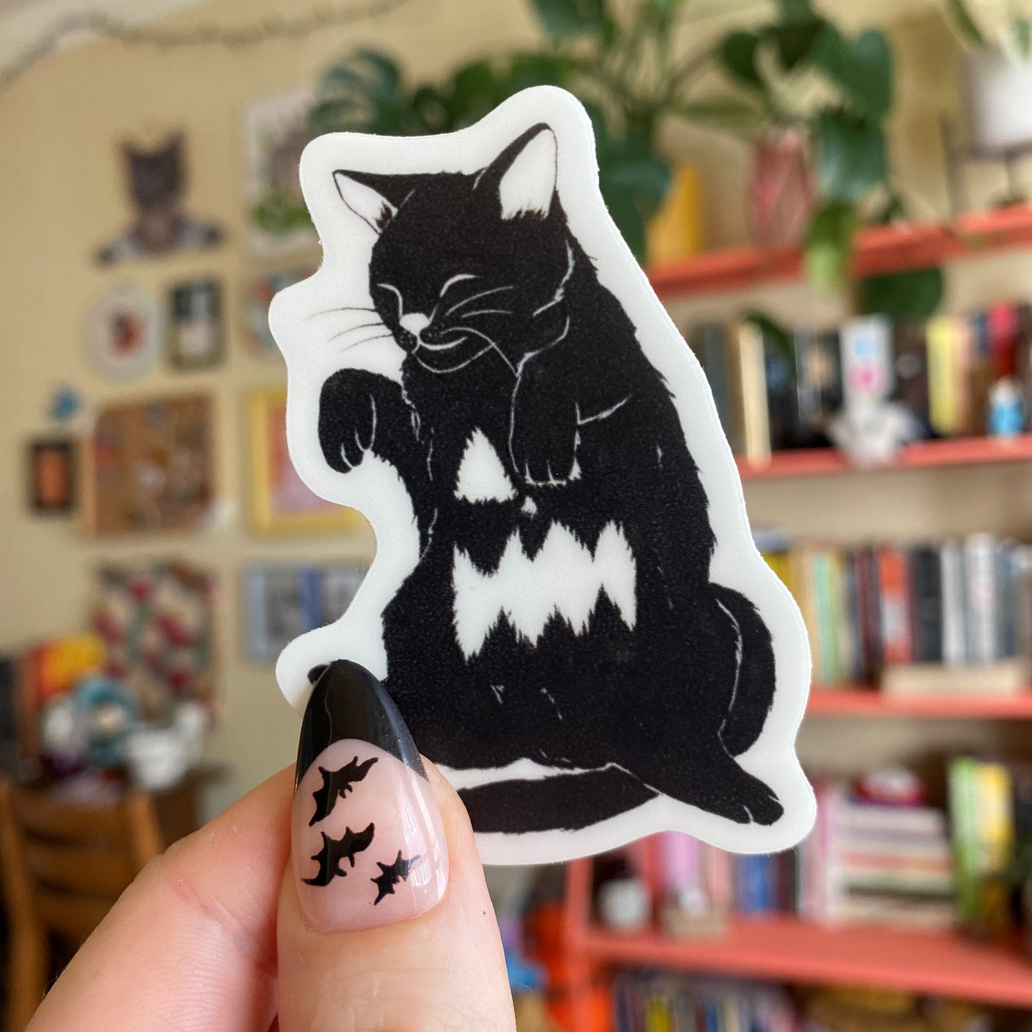 Jack-O-Kitty