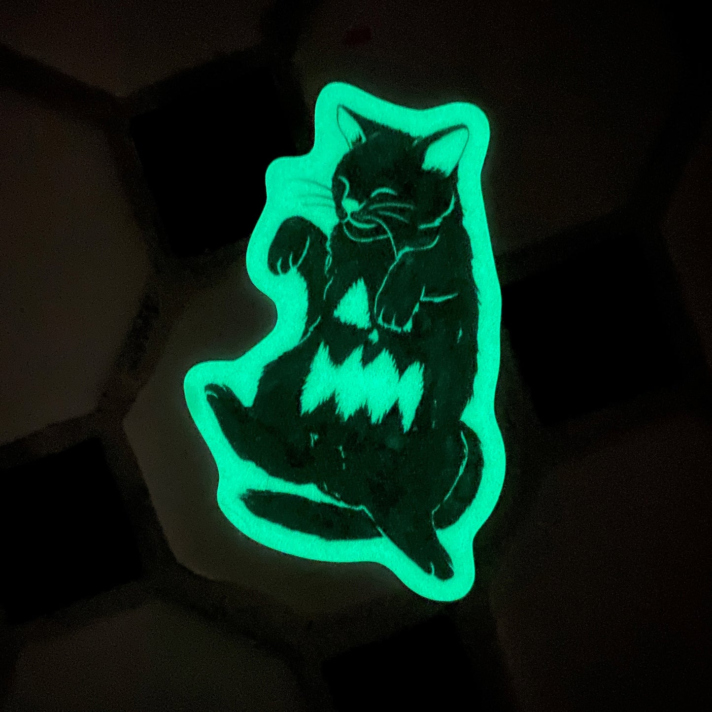 Jack-O-Kitty