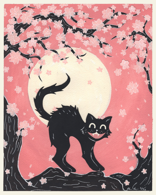 Black Cat in Bloom